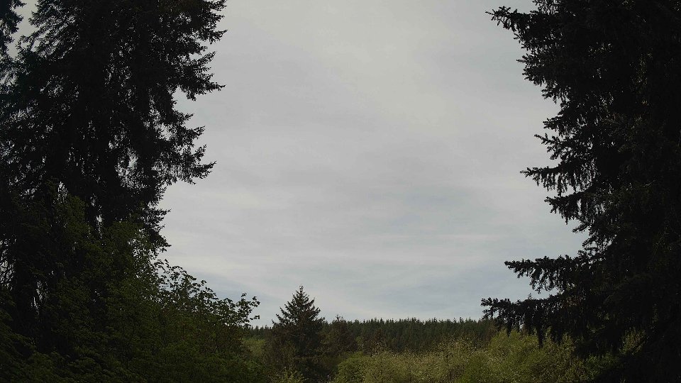 Pacific Northwest skyline timelapse frame from May 9th, 2026 at 10:30 AM
