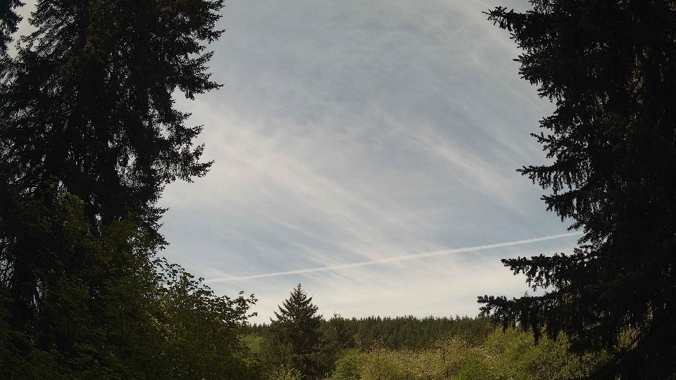 Pacific Northwest skyline timelapse frame from May 9th, 2026 at 11:00 AM