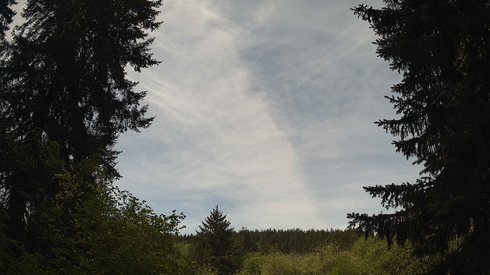 Pacific Northwest skyline timelapse frame from May 9th, 2026 at 11:15 AM