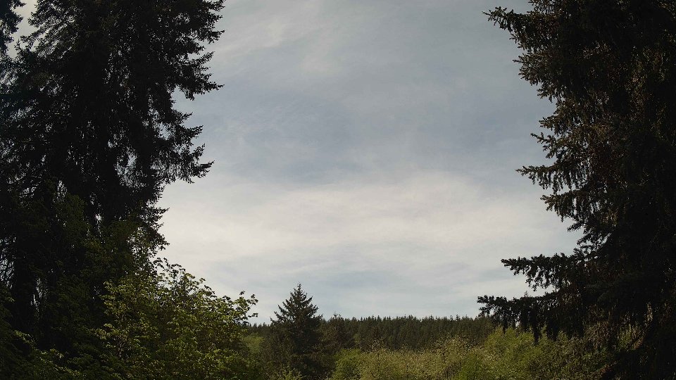 Pacific Northwest skyline timelapse frame from May 9th, 2026 at 11:30 AM