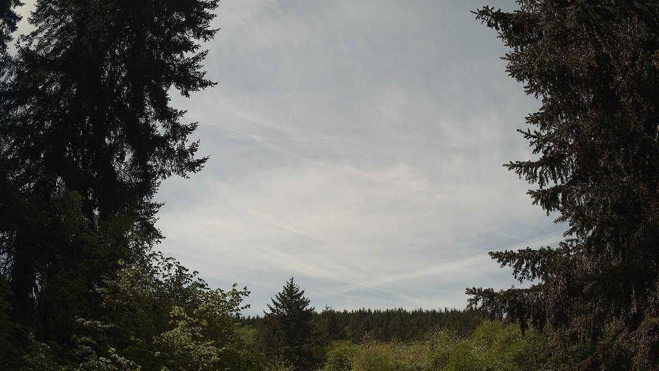 Pacific Northwest skyline timelapse frame from May 9th, 2026 at 11:45 AM