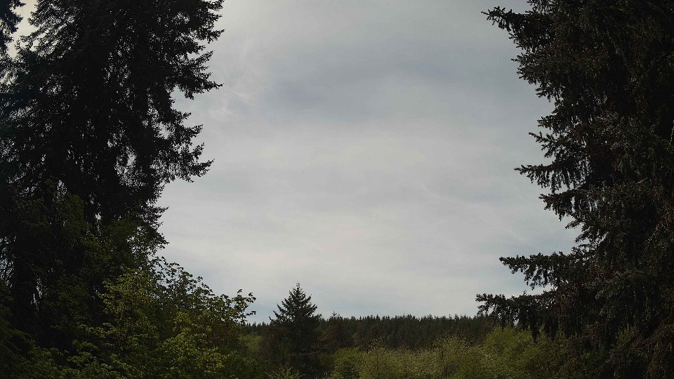 Pacific Northwest skyline timelapse frame from May 9th, 2026 at 12:00 PM
