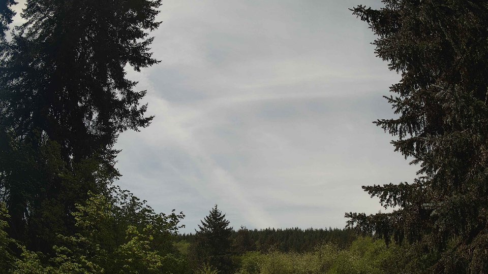 Pacific Northwest skyline timelapse frame from May 9th, 2026 at 12:15 PM