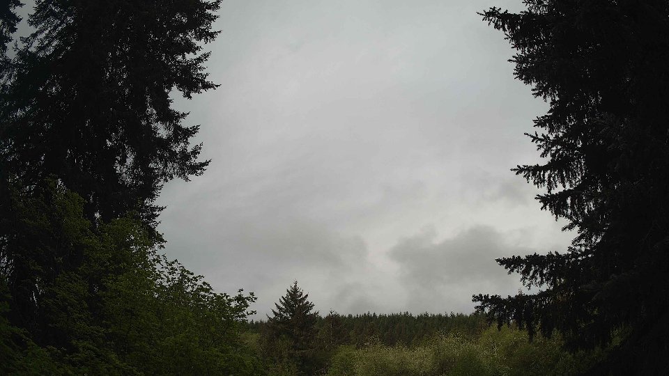Pacific Northwest skyline timelapse frame from May 10th, 2026 at 8:00 AM