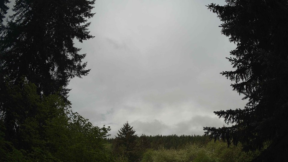Pacific Northwest skyline timelapse frame from May 10th, 2026 at 8:30 AM