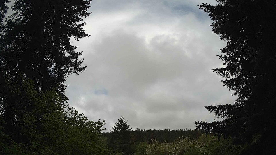 Pacific Northwest skyline timelapse frame from May 10th, 2026 at 9:00 AM