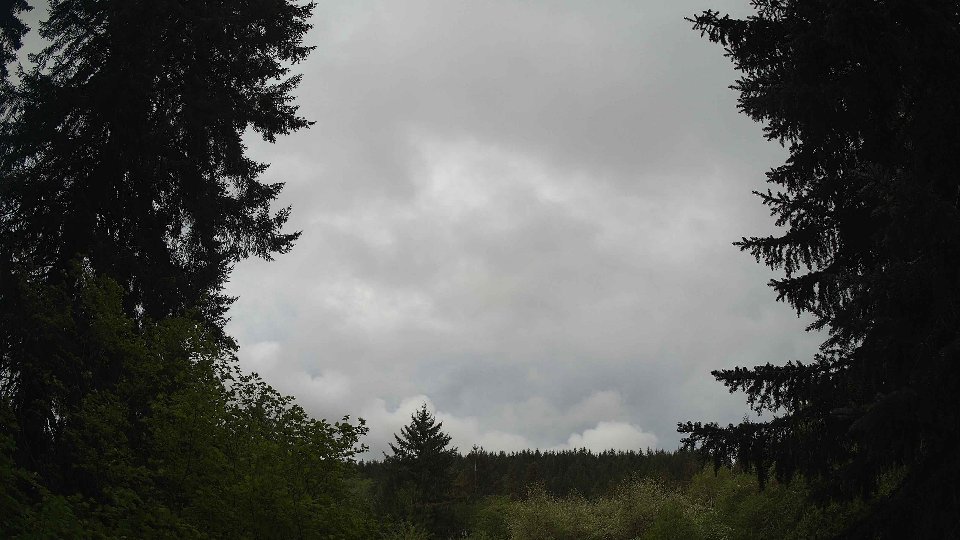 Pacific Northwest skyline timelapse frame from May 10th, 2026 at 9:15 AM