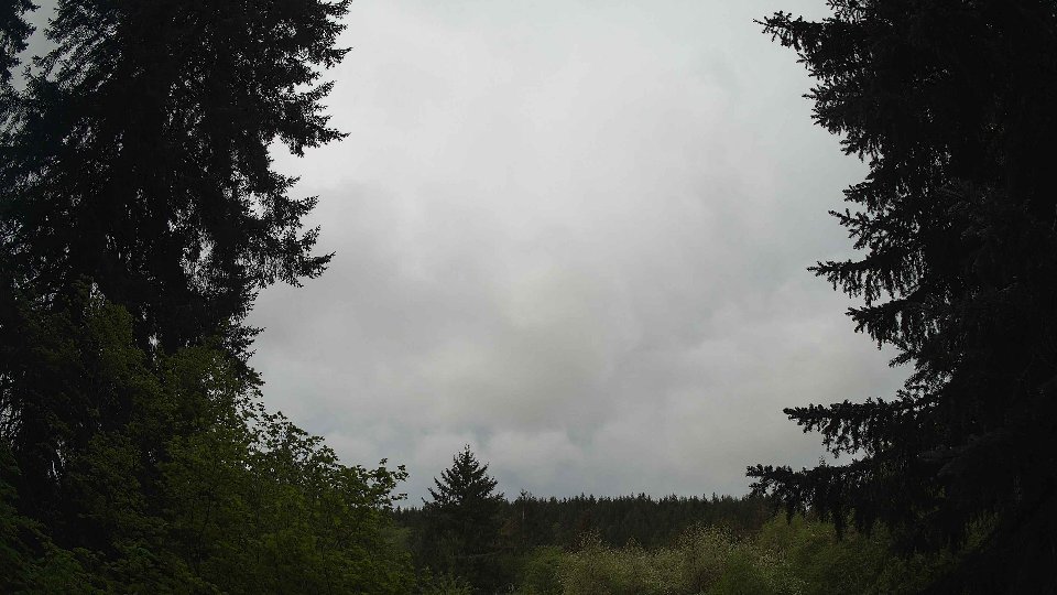 Pacific Northwest skyline timelapse frame from May 10th, 2026 at 9:30 AM