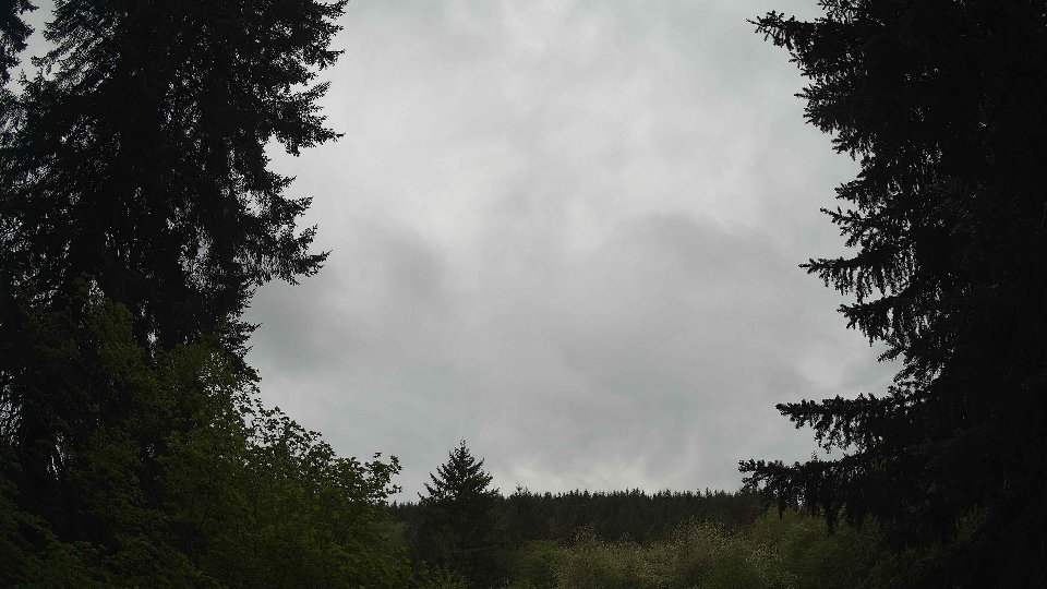 Pacific Northwest skyline timelapse frame from May 10th, 2026 at 9:45 AM