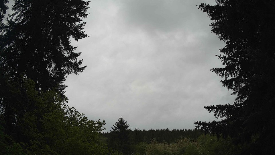 Pacific Northwest skyline timelapse frame from May 10th, 2026 at 11:00 AM
