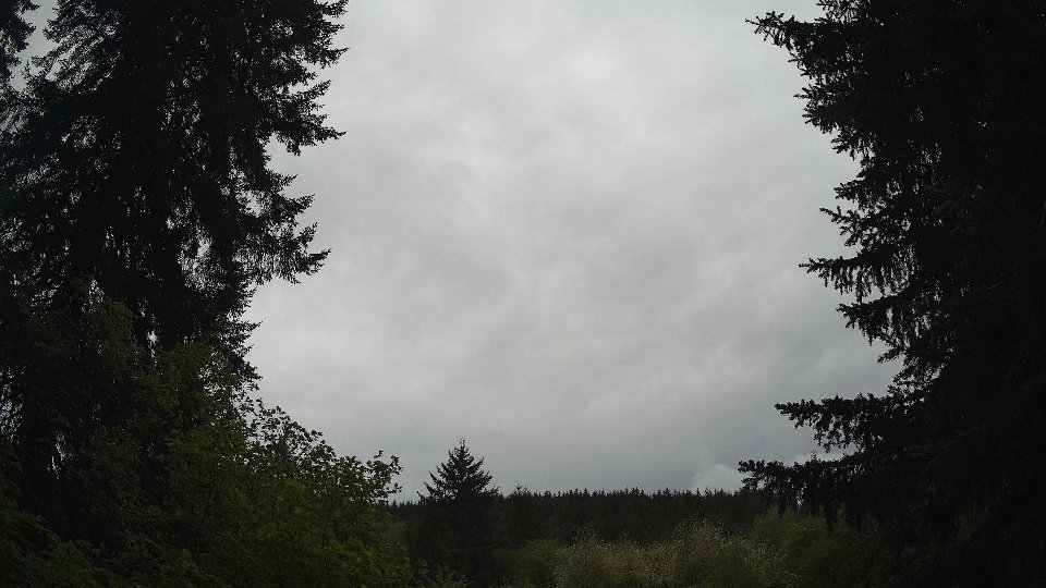 Pacific Northwest skyline timelapse frame from May 10th, 2026 at 11:15 AM
