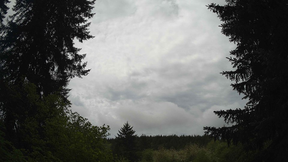 Pacific Northwest skyline timelapse frame from May 10th, 2026 at 11:30 AM