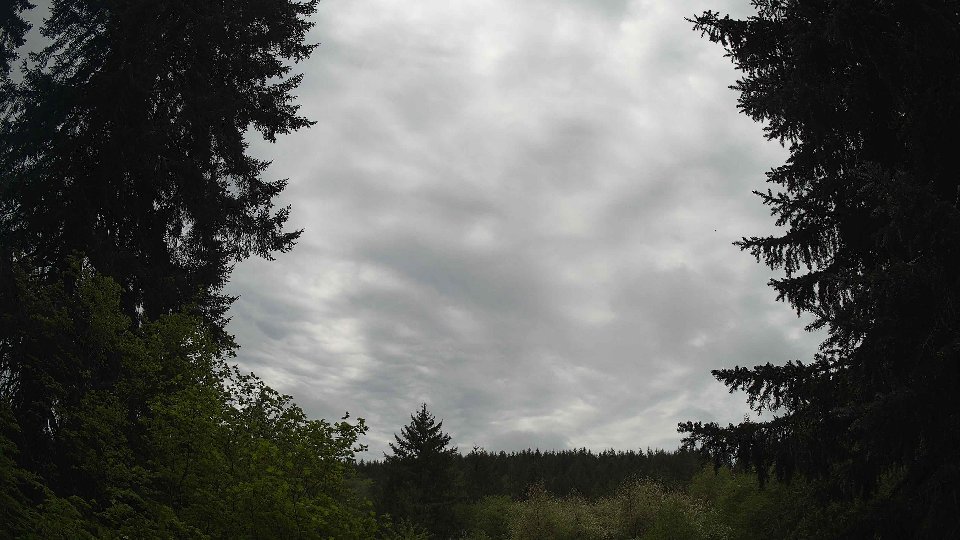 Pacific Northwest skyline timelapse frame from May 10th, 2026 at 11:45 AM