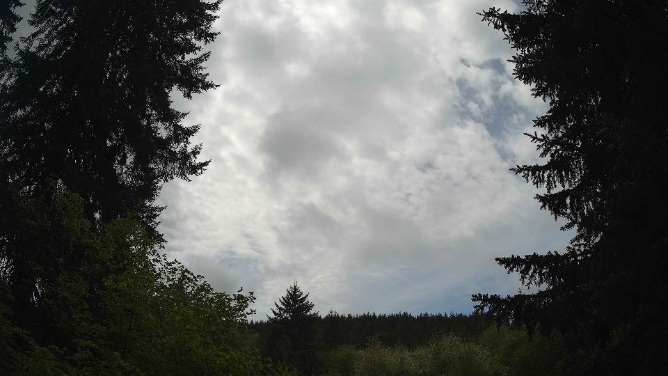 Pacific Northwest skyline timelapse frame from May 10th, 2026 at 12:00 PM
