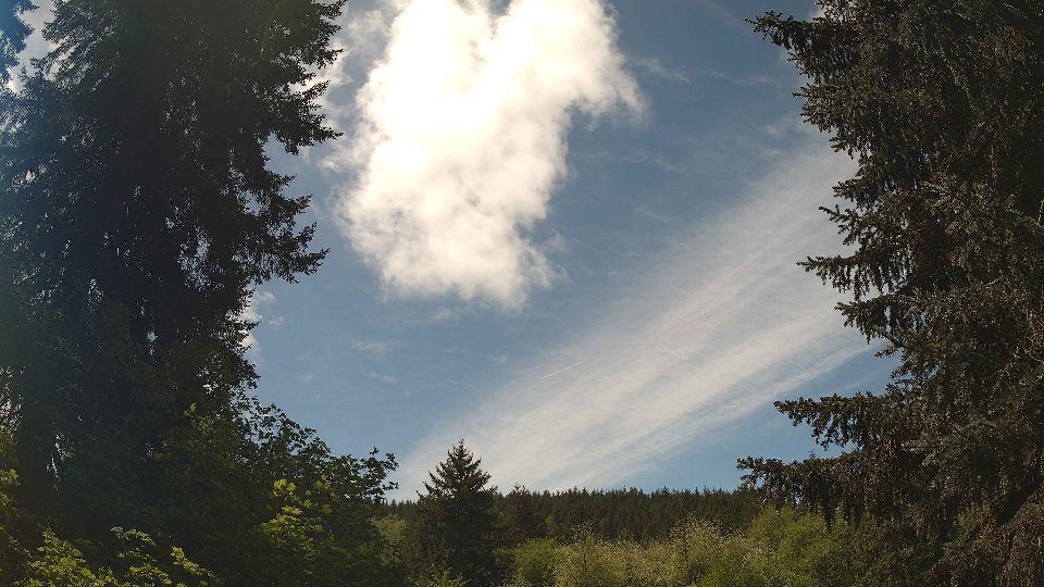 Pacific Northwest skyline timelapse frame from May 10th, 2026 at 12:30 PM