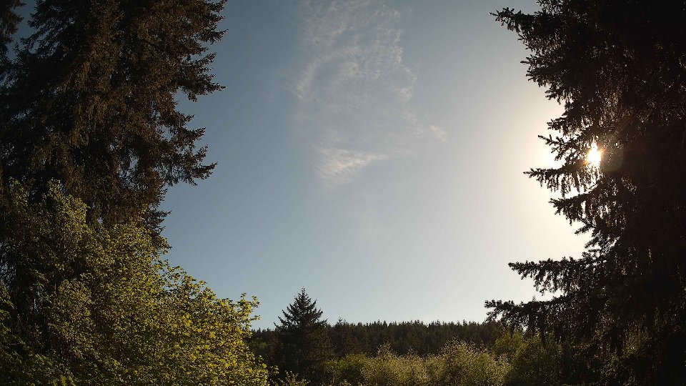 Pacific Northwest skyline timelapse frame from May 10th, 2026 at 5:30 PM