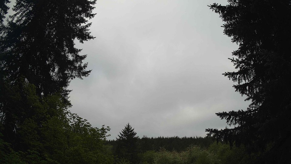 Pacific Northwest skyline timelapse frame from May 11th, 2026 at 8:00 AM