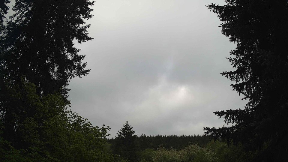 Pacific Northwest skyline timelapse frame from May 11th, 2026 at 8:15 AM