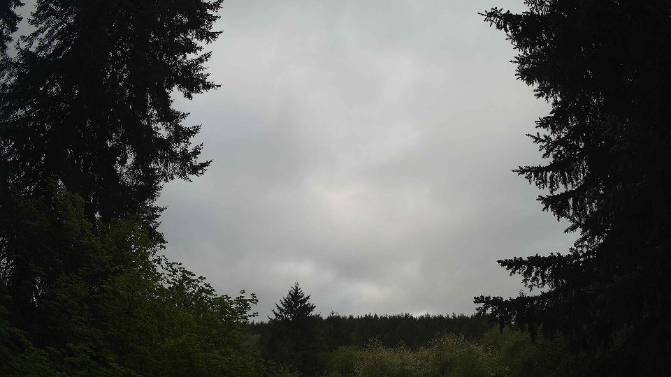 Pacific Northwest skyline timelapse frame from May 11th, 2026 at 8:30 AM