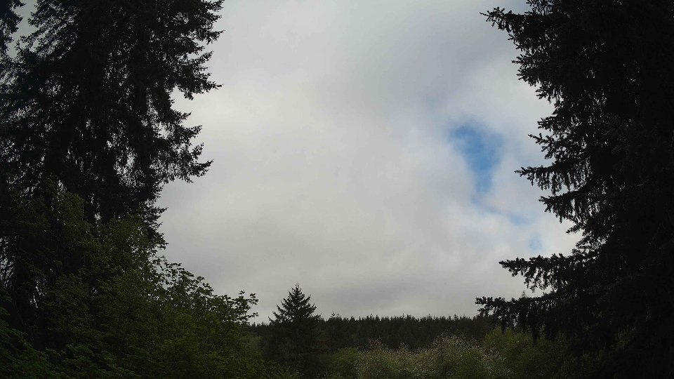 Pacific Northwest skyline timelapse frame from May 11th, 2026 at 8:45 AM