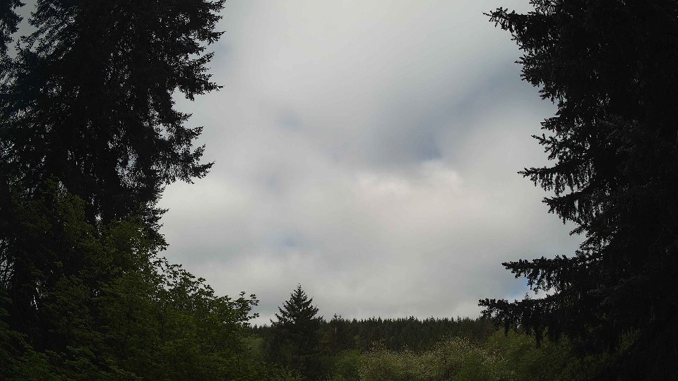 Pacific Northwest skyline timelapse frame from May 11th, 2026 at 9:00 AM