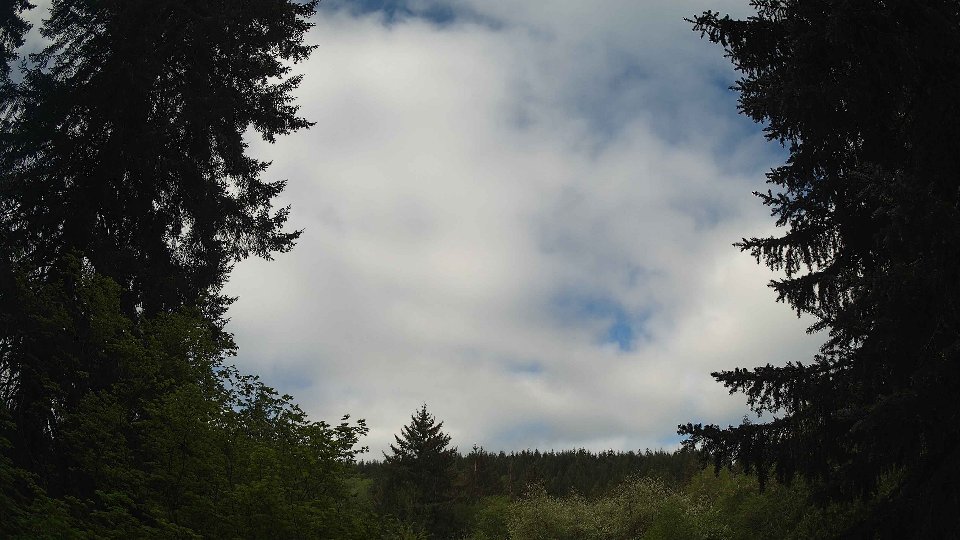 Pacific Northwest skyline timelapse frame from May 11th, 2026 at 9:15 AM