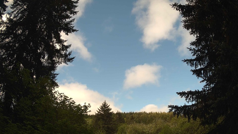 Pacific Northwest skyline timelapse frame from May 11th, 2026 at 9:30 AM