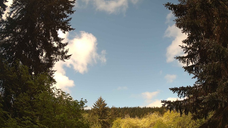 Pacific Northwest skyline timelapse frame from May 11th, 2026 at 9:45 AM