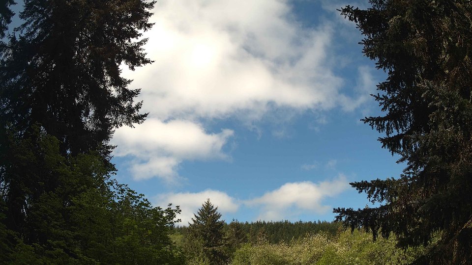 Pacific Northwest skyline timelapse frame from May 11th, 2026 at 10:00 AM