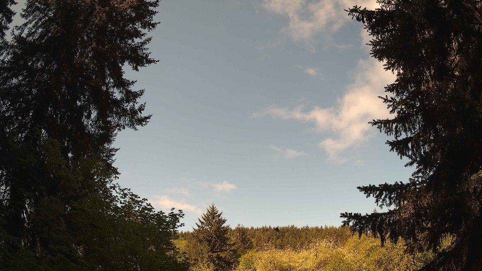 Pacific Northwest skyline timelapse frame from May 11th, 2026 at 10:15 AM