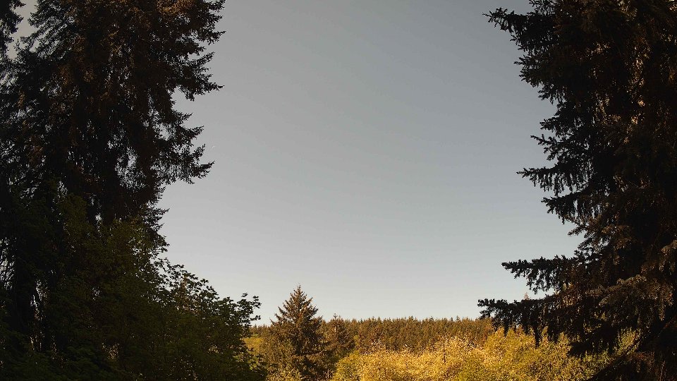 Pacific Northwest skyline timelapse frame from May 11th, 2026 at 10:30 AM