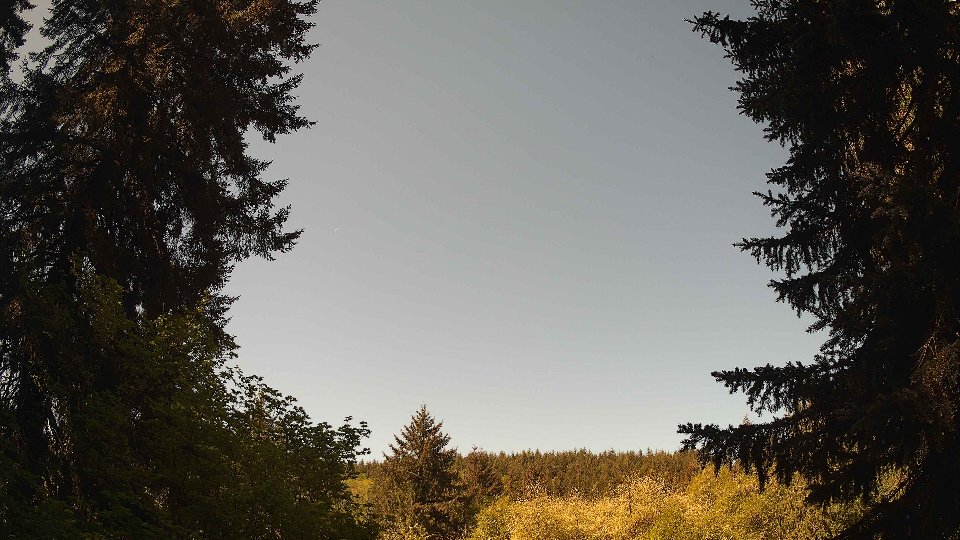 Pacific Northwest skyline timelapse frame from May 11th, 2026 at 10:45 AM
