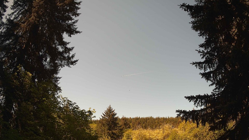 Pacific Northwest skyline timelapse frame from May 11th, 2026 at 11:00 AM