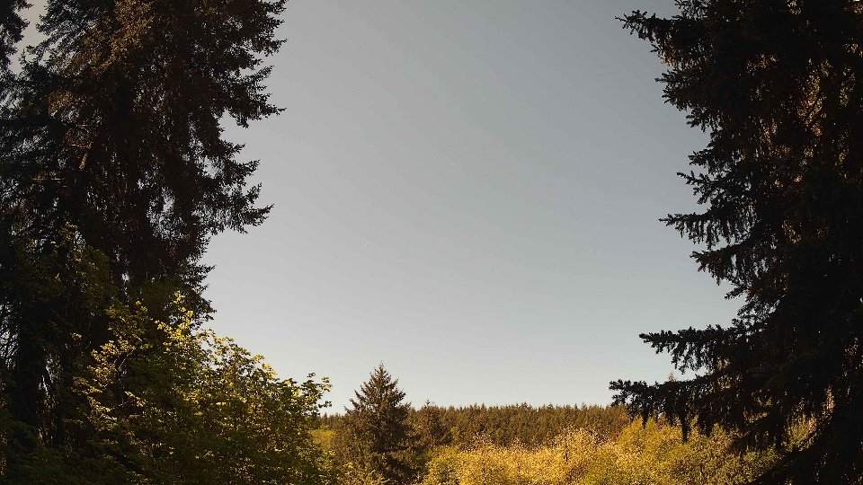 Pacific Northwest skyline timelapse frame from May 11th, 2026 at 11:15 AM
