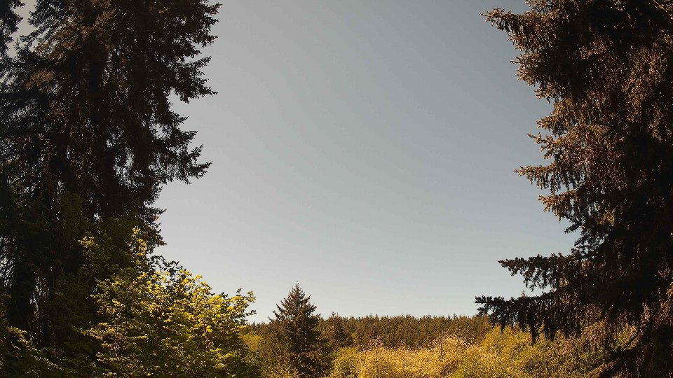 Pacific Northwest skyline timelapse frame from May 11th, 2026 at 11:30 AM