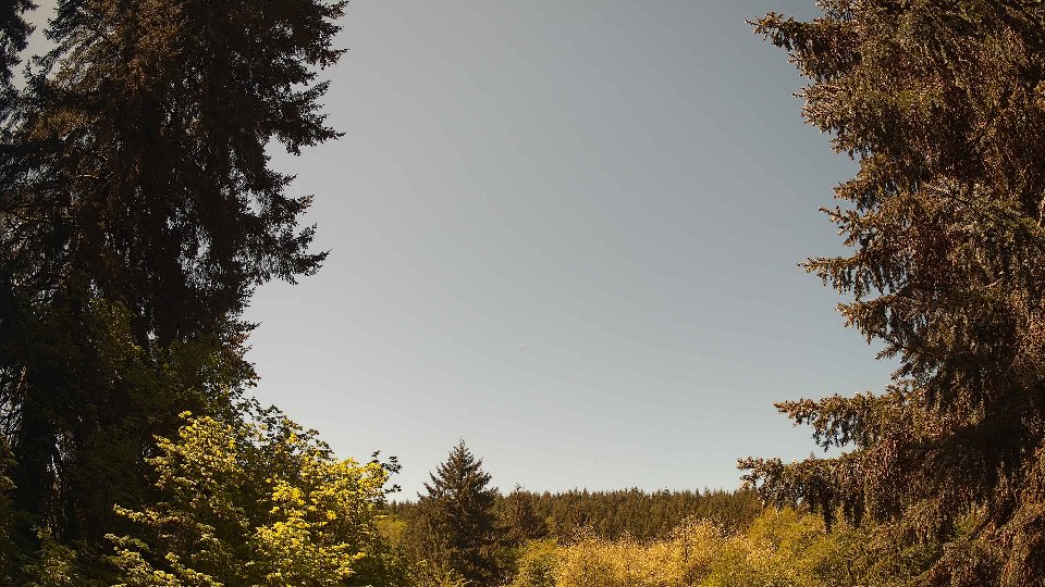Pacific Northwest skyline timelapse frame from May 11th, 2026 at 11:45 AM