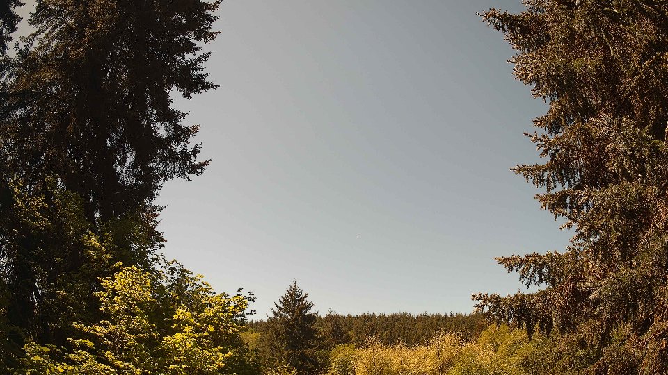 Pacific Northwest skyline timelapse frame from May 11th, 2026 at 12:00 PM