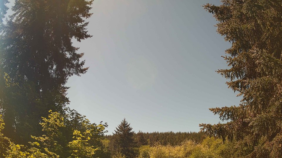 Pacific Northwest skyline timelapse frame from May 11th, 2026 at 12:15 PM