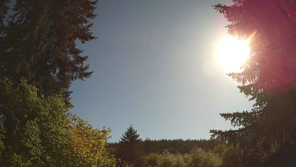 Pacific Northwest skyline timelapse frame from May 11th, 2026 at 5:00 PM