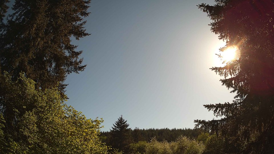 Pacific Northwest skyline timelapse frame from May 11th, 2026 at 5:15 PM