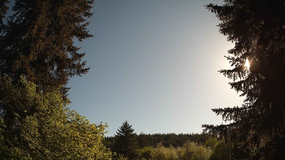 Pacific Northwest skyline timelapse frame from May 11th, 2026 at 5:30 PM