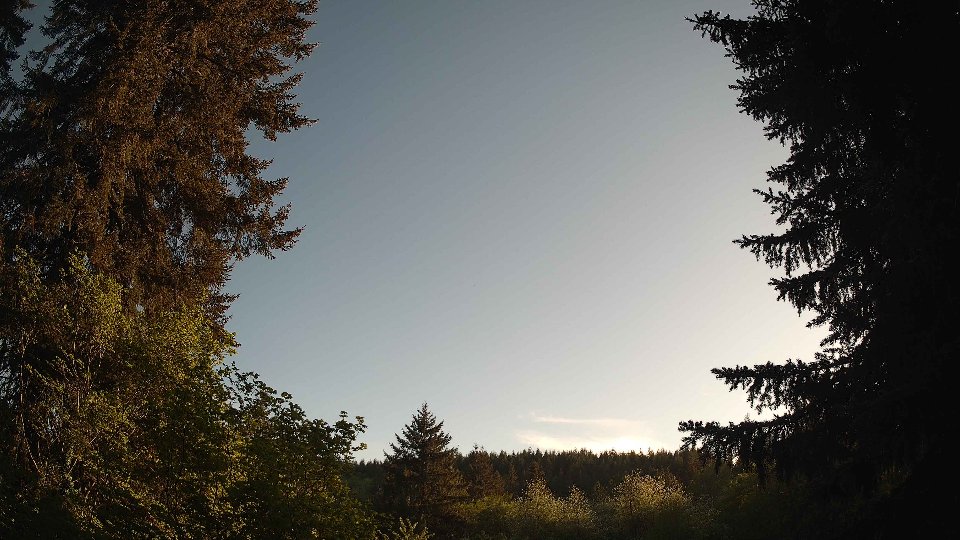 Pacific Northwest skyline timelapse frame from May 11th, 2026 at 7:00 PM