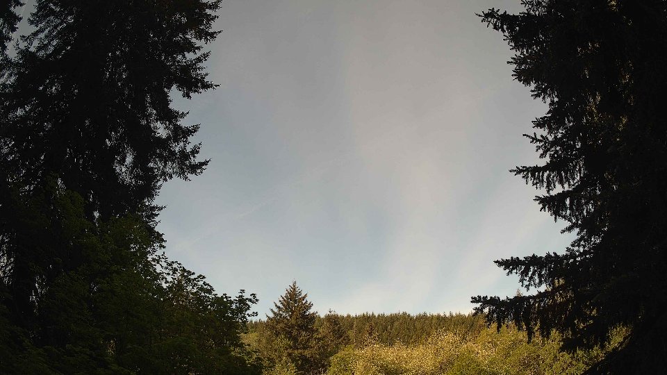 Pacific Northwest skyline timelapse frame from May 12th, 2026 at 9:00 AM