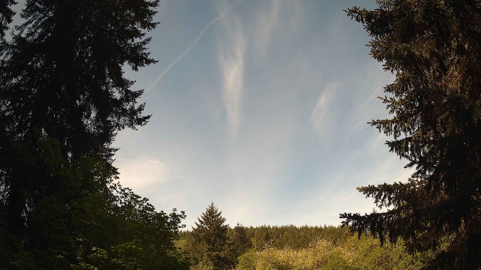 Pacific Northwest skyline timelapse frame from May 12th, 2026 at 9:30 AM