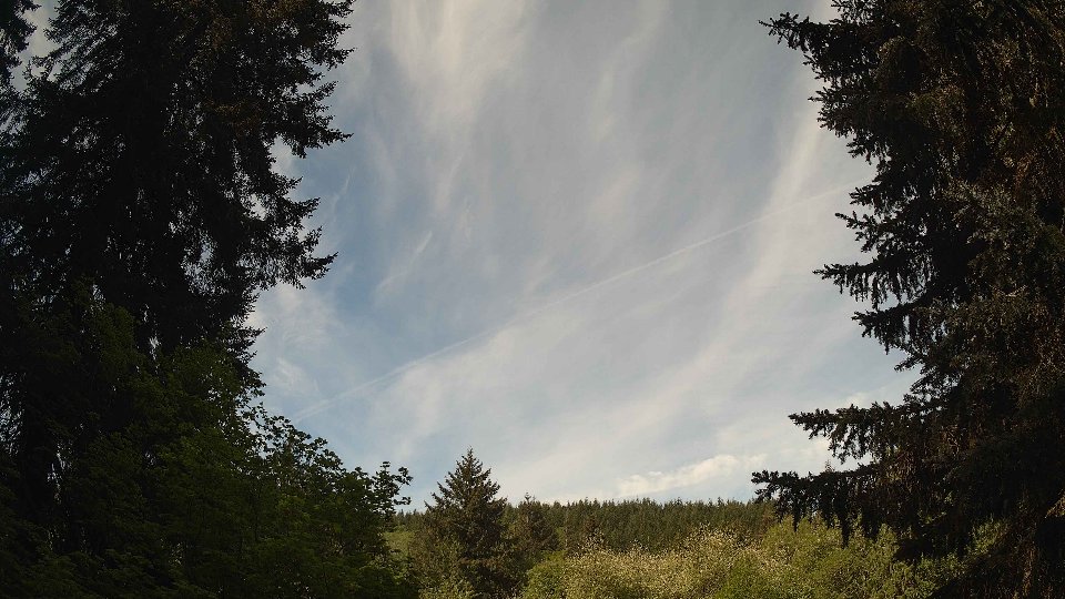Pacific Northwest skyline timelapse frame from May 12th, 2026 at 10:00 AM