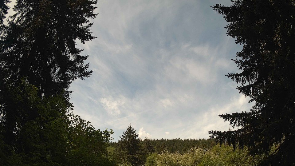 Pacific Northwest skyline timelapse frame from May 12th, 2026 at 11:00 AM