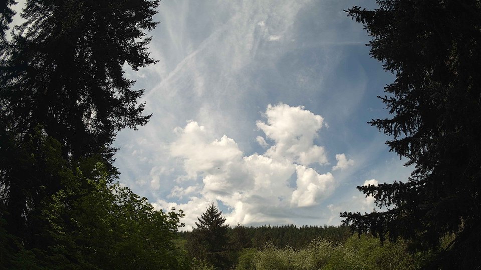 Pacific Northwest skyline timelapse frame from May 12th, 2026 at 11:15 AM