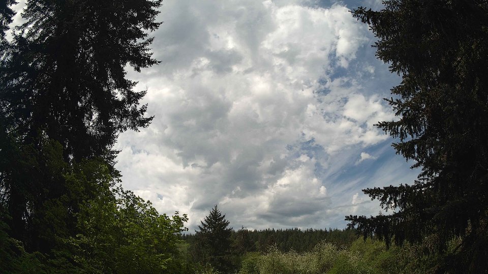 Pacific Northwest skyline timelapse frame from May 12th, 2026 at 11:30 AM