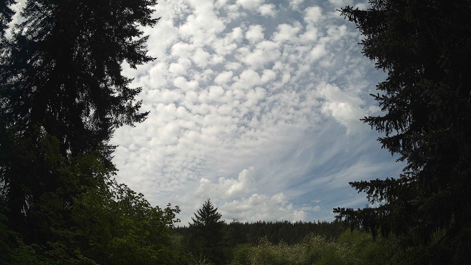Pacific Northwest skyline timelapse frame from May 12th, 2026 at 11:45 AM