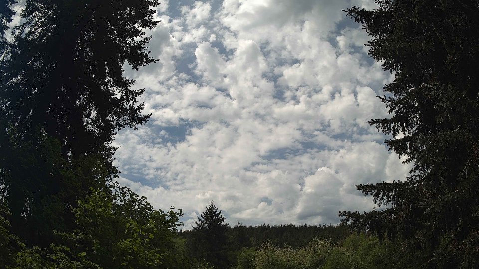 Pacific Northwest skyline timelapse frame from May 12th, 2026 at 12:15 PM